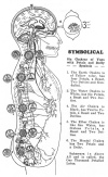 Six Chakras of Yoga with Petals and Deity Symbols