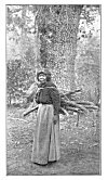 A WOOD GATHERER.<BR>
As in all Indian tribes, the women do most of the work.