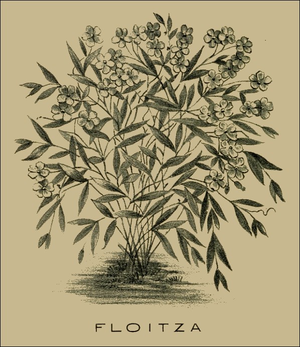 Illustration