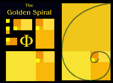 The Golden Spiral