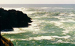 Mendocino Coast