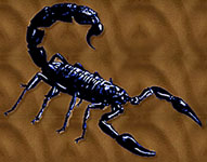 Scorpio - The Ur-Predator