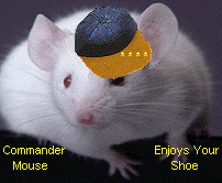 commander mouse.gif