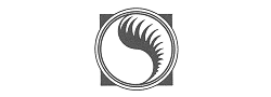 Aes Sedai Symbol