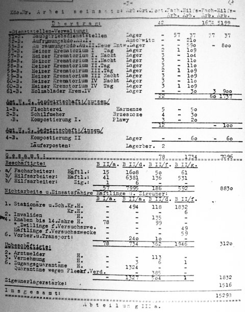 Auschwitz Labor Force, 1944 July 28, p. 3.