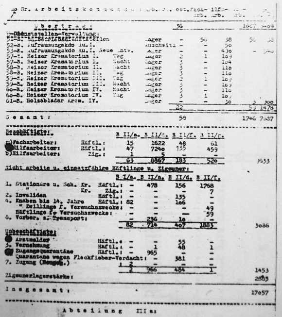 Auschwitz Labor Force, 1944 August 2, p. 3