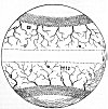 FIGURE 34. <i>The Primæval Earth, with its Zones or greater Climates, and the general order and tracts of its Rivers</i>.<br> (From <i>The Theory of the Earth</i>; Thomas Burnet, 1697.)