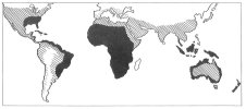 Distribution of Negro Blood, Ancient and Modern