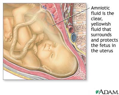 Amniotic fluid