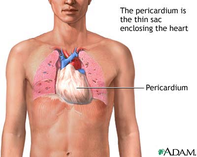 Pericardium