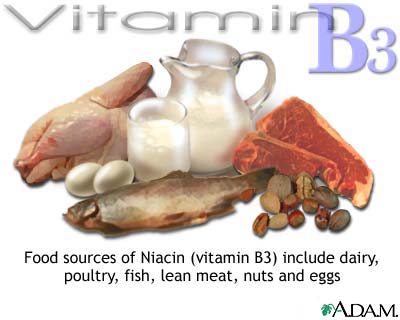 Vitamin B3 source