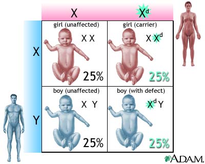 X-linked recessive genetic defects