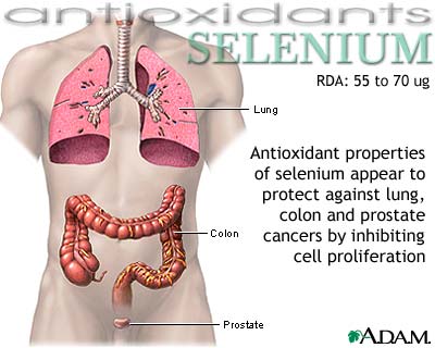 Selenium - antioxidant