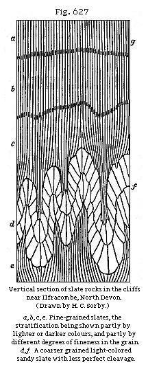 Fig. 627: Vertical section of slate rock in the cliffs near Ilfracombe, North Devon.