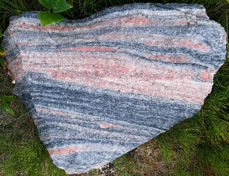 01460-gneiss-migmatite