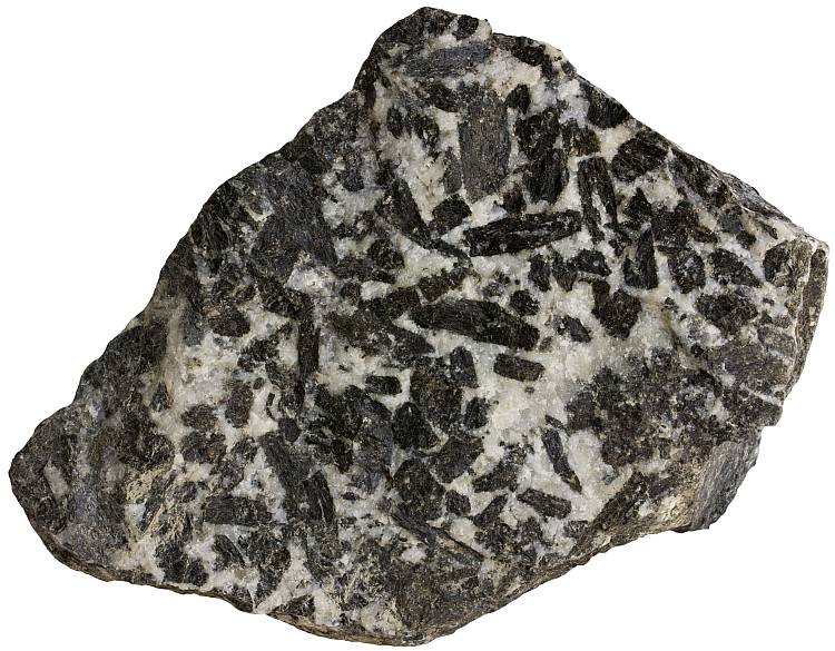 Gabbro sample with augite phenocrysts