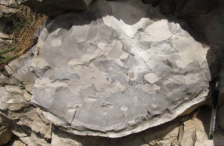 A large chert nodule, 50 cm across