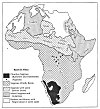 Races in Africa