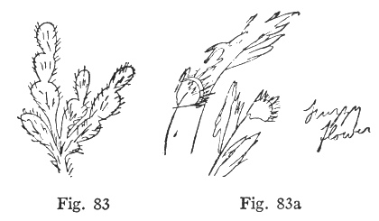 Fig. 83, Fig. 83a