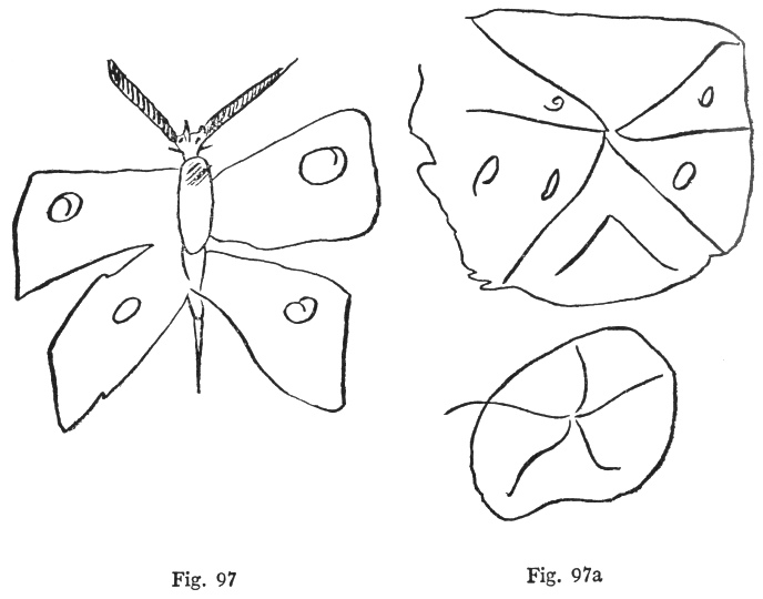 Fig. 97, Fig. 97a