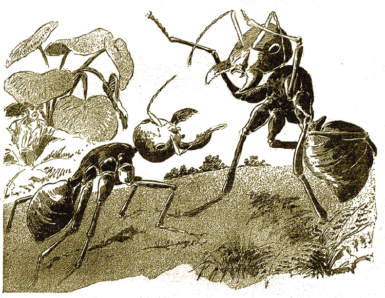 Illustration