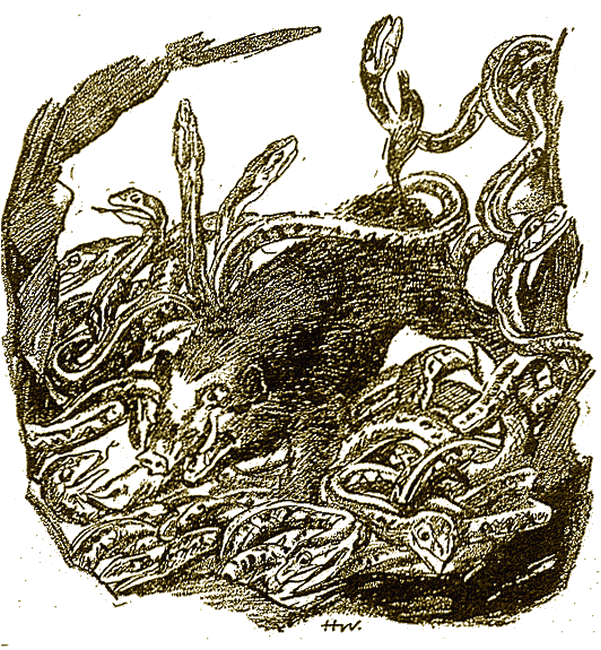 Illustration