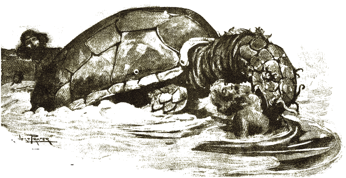 Illustration