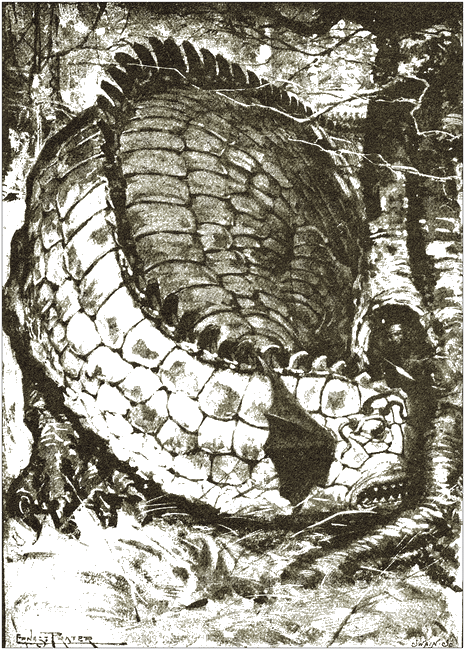 Illustration