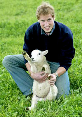 Prince William The Lamb