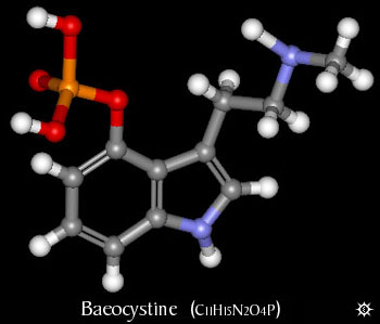 3D Baeocystine Molecule