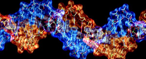 Scientists have just uncovered a major difference between DNA and RNA