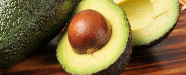 A company claims to have a machine that stops avocados going brown