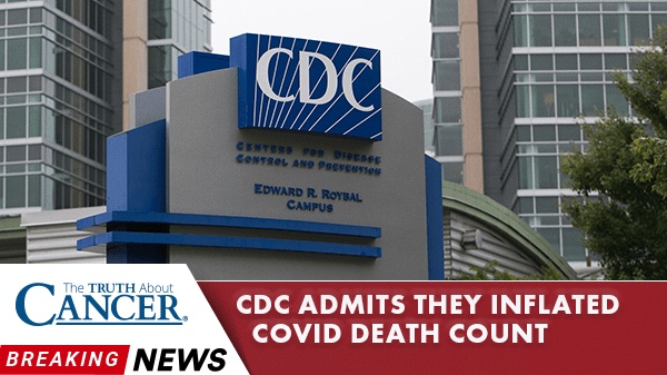 covid death rates