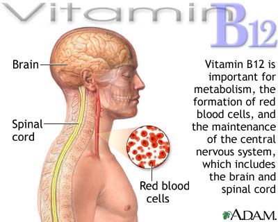 Vitamin B12 benefits