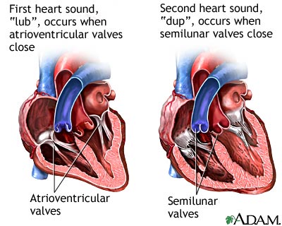 Heart beat